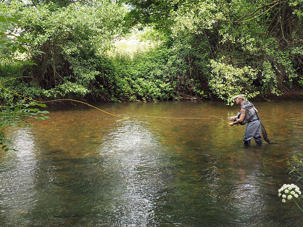 Pescador lanza el arte en el río Cubia - Pescar en Asturias