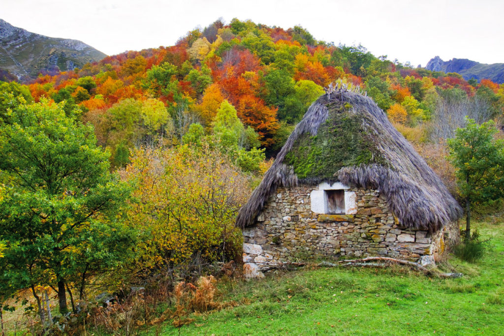 Hoteles rurales de Casonas Asturianas: cabaña con techo de paja, en el Parque Natual de Somiedo.