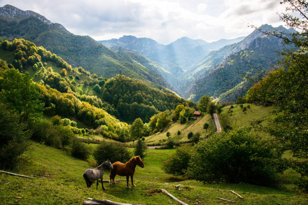 Hoteles rurales de Casonas Asturianas: vista general del Parque de Redes, con caballos en primer plano.