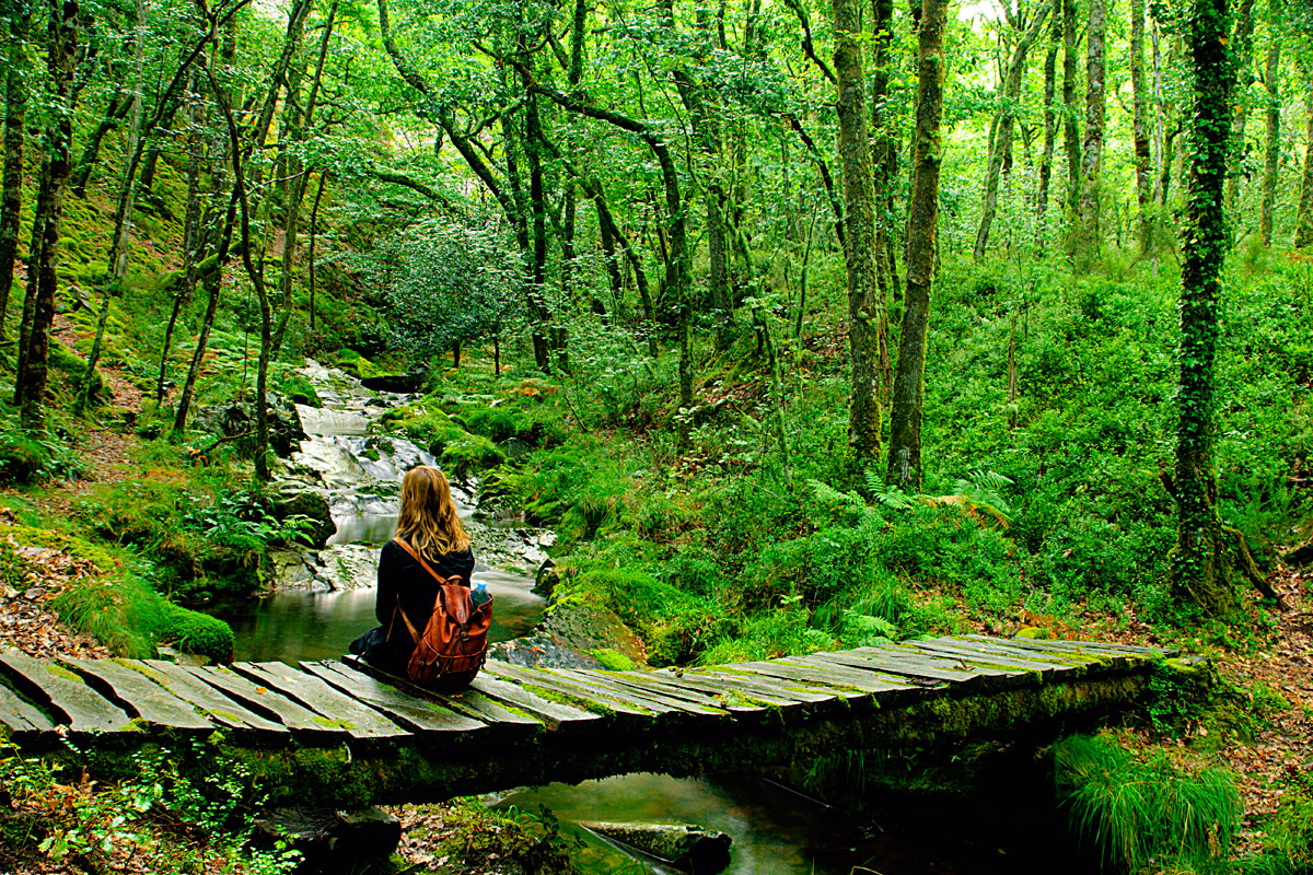 Hoteles rurales de Casonas Asturianas: paisaje en Villanueva de Oscos.