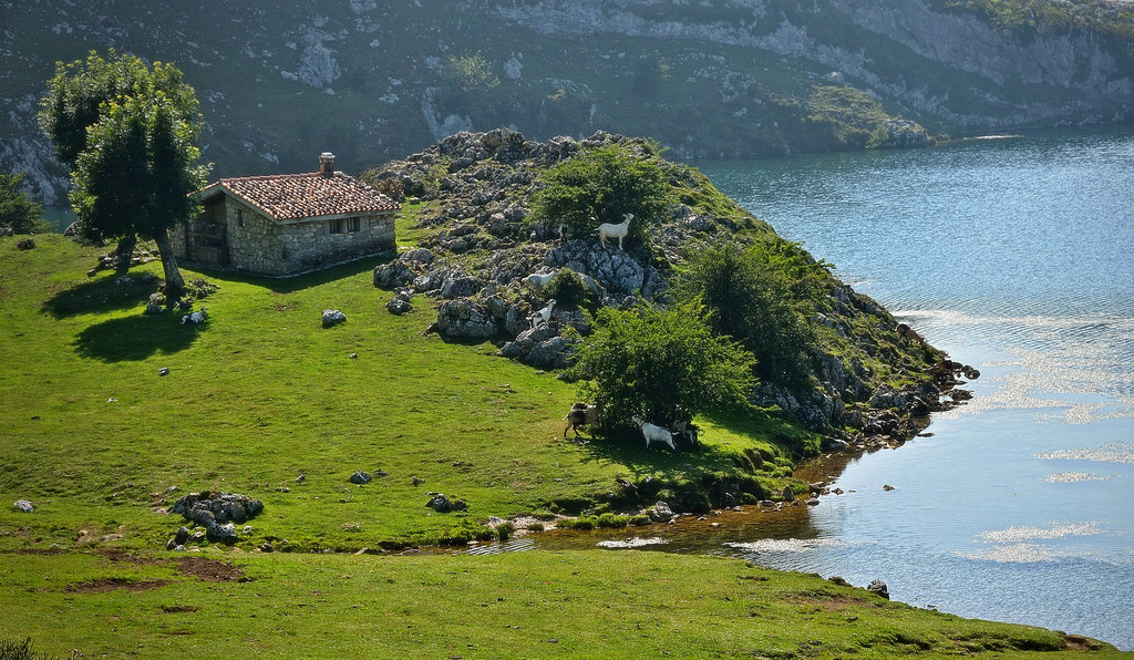 Lago Enol, uno de los más conocidos Lagos de Asturias