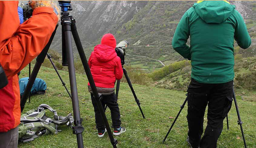 Observación de la naturaleza en Asturias, personas observando el monte en Somiedo